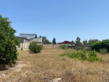 Satılır Torpaq, Xəzər.r, Şüvəlan, Koroğlu.m-3