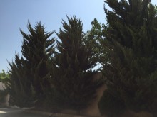 Satılır Həyət evi, Sabunçu.r, Albalı-11