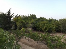 Satılır Həyət evi, Sabunçu.r, Albalı-19