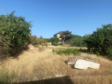 Satılır Torpaq, Xəzər.r, Şağan, Koroğlu.m-6