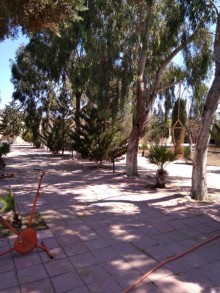 Kirayə (Aylıq) Villa, Xəzər.r, Şüvəlan-5