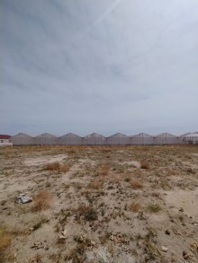 Satılır Obyekt, Xəzər.r, Zirə-11