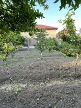 Satılır Torpaq, -1