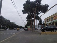 Kirayə (Aylıq) Villa, Sabunçu.r-20