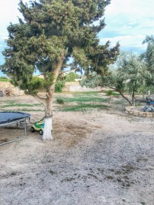 merdekanda torpaq qiymetleri, -10