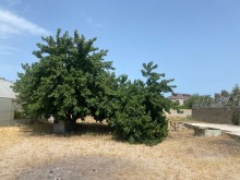 Satılır Torpaq, Xəzər.r, Şüvəlan, Koroğlu.m-2