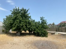 Satılır Torpaq, Xəzər.r, Şüvəlan, Koroğlu.m-6