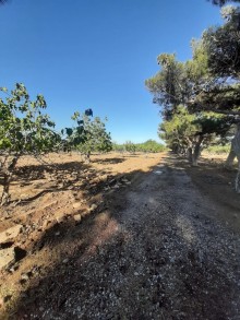 Satılır Həyət evi, Sabunçu.r, Ramana, Koroğlu.m-8