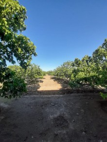 Satılır Həyət evi, Sabunçu.r, Ramana, Koroğlu.m-9