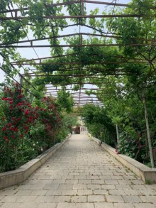 Satılır Həyət evi, Səbail.r, Badamdar-2