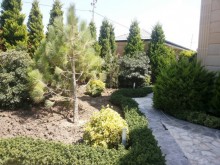Kirayə (Aylıq) Villa, Xəzər.r, Mərdəkan-14