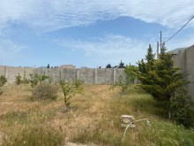 Satılır Torpaq, Xəzər.r, Mərdəkan, Koroğlu.m-5