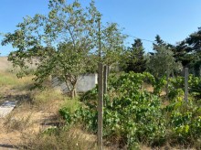 Satılır Torpaq, Xəzər.r, Mərdəkan, Koroğlu.m-4
