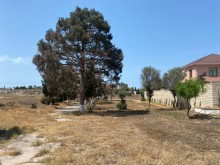 Satılır Torpaq, Xəzər.r, Şüvəlan, Koroğlu.m-2