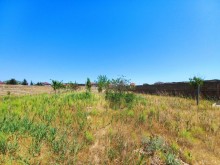 Satılır Torpaq, Abşeron.r, Goradil-7