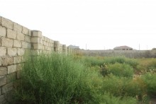 Satılır Torpaq, Abşeron.r, Məhəmmədli, Koroğlu.m-3