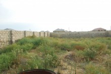 Satılır Torpaq, Abşeron.r, Məhəmmədli, Koroğlu.m-4