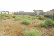 Satılır Torpaq, Abşeron.r, Məhəmmədli, Koroğlu.m-8