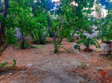 Satılır Torpaq, Səbail.r, Badamdar-1