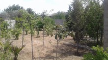 Satılır Həyət evi, Abşeron.r, Novxanı-12
