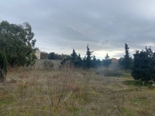 Satılır Torpaq, Xəzər.r, Mərdəkan, Koroğlu.m-5