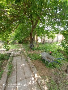 Satılır Torpaq, Abşeron.r, Masazır-1