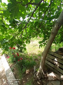 Satılır Torpaq, Abşeron.r, Masazır-4