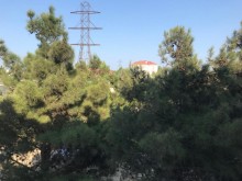 Kirayə (Aylıq) Həyət evi, Xəzər.r, Mərdəkan-8