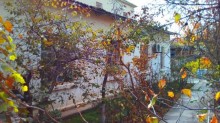 badamdarda ev alqi satqisi elanlari, -2