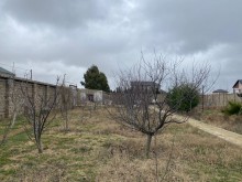 Satılır Torpaq, Xəzər.r, Şüvəlan, Koroğlu.m-15