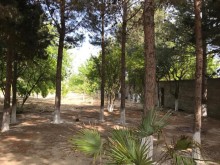 fatmai bag evi satilir, -3