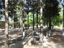 fatmai bag evi satilir, -5