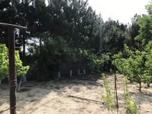 fatmai bag evi satilir, -12