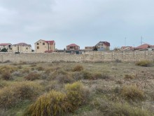 şüvəlanda torpaq qiymətləri, -1