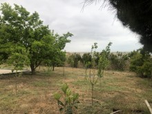 merdekan satılan villalar 395 min, -11