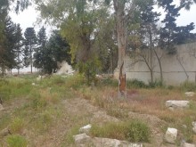 mərdəkanda torpaq sahələri, -2