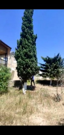 bilgeh torpaq elani, -5