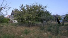 Satılır Torpaq, Abşeron.r, Novxanı-5