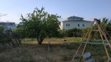 Satılır Torpaq, Abşeron.r, Novxanı-7