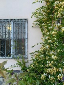 suvelanda heyet evi almaq  65   kv/m, -16