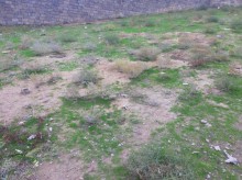 Satılır Torpaq, Səbail.r, Badamdar-2