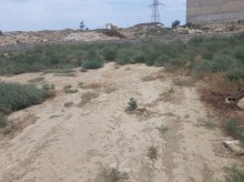 Sixovda 6 sot topraq sahesi almaq, -6
