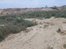 Sixovda 6 sot topraq sahesi almaq, -7
