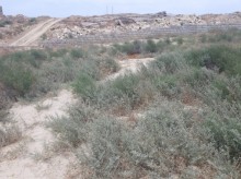 Sixovda 6 sot topraq sahesi almaq, -8