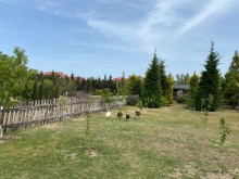 mərdəkanda təcili satılan torpaqlar, -3