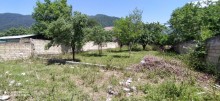 Satılır Torpaq, Qəbələ.ş-1