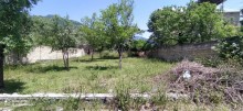 Satılır Torpaq, Qəbələ.ş-3