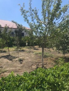 şüvəlan villa satılır, -11