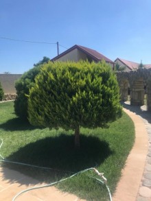şüvəlan villa satılır, -12