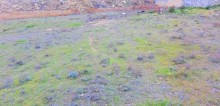 Satılır Torpaq, Səbail.r, Şıxov-4